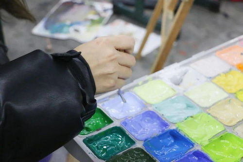 走進棗院 團團帶你走進美院學子的精致日常