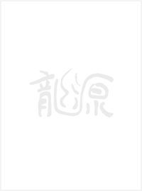 李軍聲 紅土地孕育的 砂石畫之父